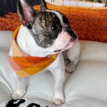 Load image into Gallery viewer, Orange check dog bandana