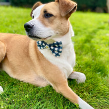 Load image into Gallery viewer, Daisy Mae Bow Tie
