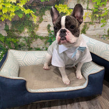Load image into Gallery viewer, Blue and grey dog bed