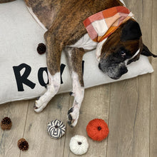 Load image into Gallery viewer, Farmhouse Linen Pillow Bed