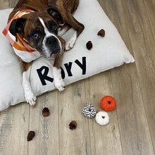 Load image into Gallery viewer, Farmhouse Linen Pillow Bed