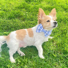 Load image into Gallery viewer, Nantucket Striped Bow Tie