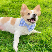 Load image into Gallery viewer, Nantucket Striped Bow Tie