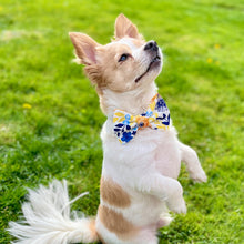 Load image into Gallery viewer, Daphne Bow Tie