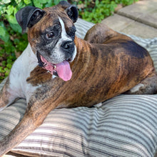 Load image into Gallery viewer, Ticking stripe Pillow Bed