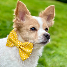 Load image into Gallery viewer, Yellow Mini Dot Bow Tie