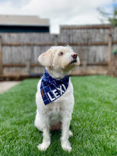 Load image into Gallery viewer, Blue Pet bandana
