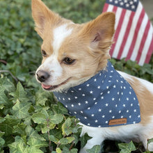 Load image into Gallery viewer, Blue Star dog bandana
