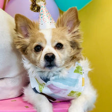 Load image into Gallery viewer, Birthday dog bandana
