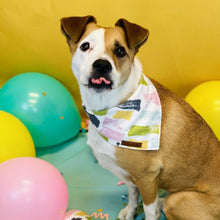 Load image into Gallery viewer, Birthday dog bandana
