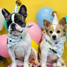 Load image into Gallery viewer, Birthday dog bandana
