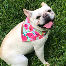 Load image into Gallery viewer, Watermelon Dog bandana

