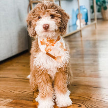 Load image into Gallery viewer, Fall Leaf Dog Bandana
