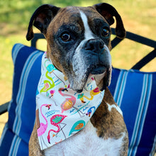 Load image into Gallery viewer, Pink Bird dog Bandana
