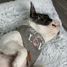 Load image into Gallery viewer, Sammy&#39;s Sew Shop Personalized Pet Bandana
