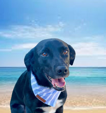 Load image into Gallery viewer, Blue stripe dog bandana
