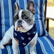 Load image into Gallery viewer, Blue anchor dog bandana
