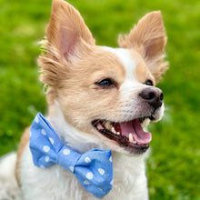 Load image into Gallery viewer, Periwinkle Dot Bow Tie

