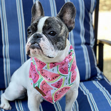 Load image into Gallery viewer, Watermelon Dog bandana
