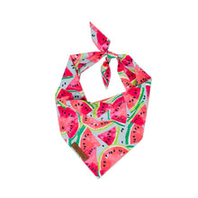 Load image into Gallery viewer, Watermelon Dog bandana
